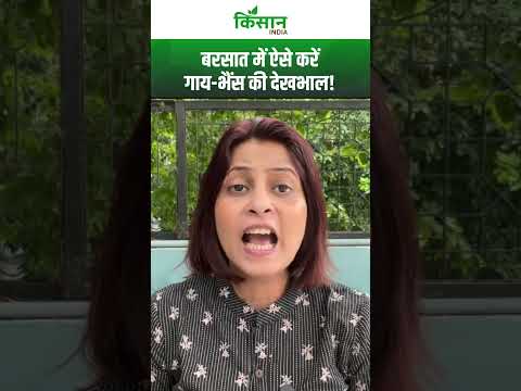 Monsoon Dairy Care: बरसात में पशुपालन का जबरदस्त तरीका, इन बातों का खास रखें ध्यान!। #shortvideo