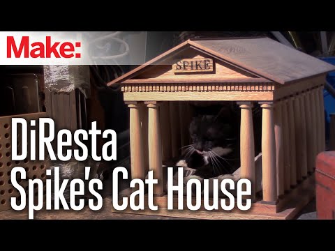 DiResta: Spike's Cat House - UChtY6O8Ahw2cz05PS2GhUbg