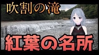 紅葉スポット！〜吹割の滝〜