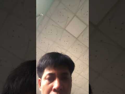 ngày 12 tháng 11, 2023