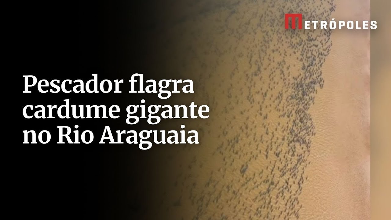 Pescador flagra cardume gigante no Rio Araguaia