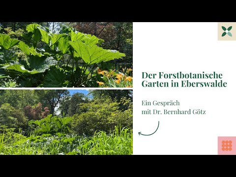 Parks & Gärten in Brandenburg: der Forstbotanische Garten Eberswalde