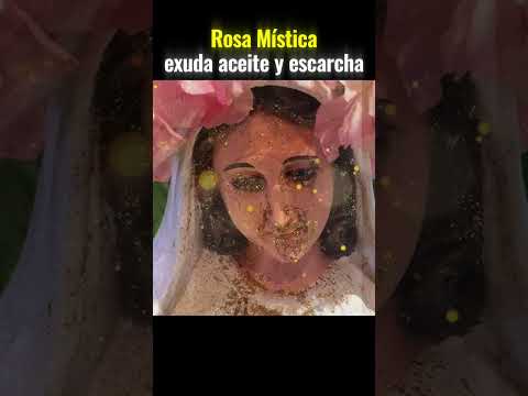 La Virgen que desafía a la ciencia  #forosdelavirgenmaria #milagro