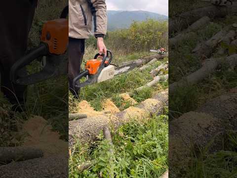 Чи важко для STIHL - MS 180