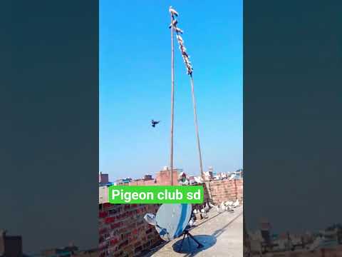 #@love #kab utar#you tub #video viral short#@