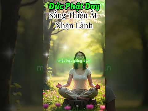 Đức Phật Dạy: Sống Thiện Ắt Nhận Lành | An Nhiên