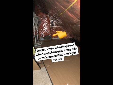 HOME INSPECTIONS FAILS #9