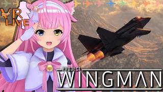 VRでフライトシューティング✈️💥【Project Wingman Frontline 59】#02