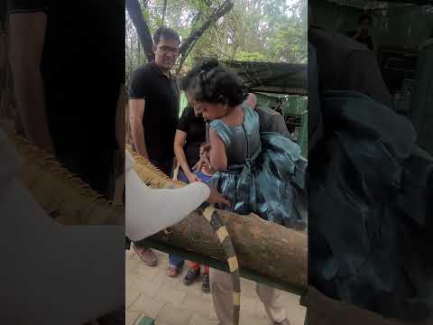 பச்சோந்தி #shorts #dushi #prani prapancha