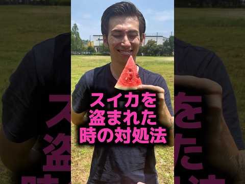 スイカを盗まれた時の対処法🍉#shorts