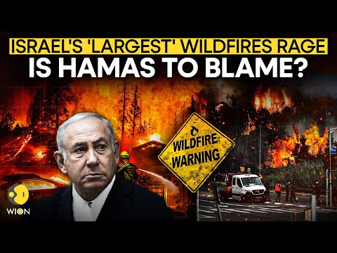 Israel Wildfires LIVE: Israel Faces WORST Fires In A Decade | Is Hamas To Blame? | WION Live