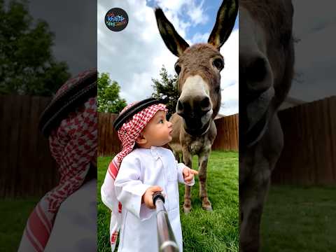 توأم الذكاء الاصطناعي والحمار دعبول 😂😂