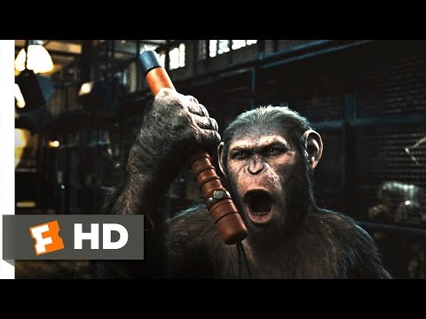 Rise of the Planet of the Apes (2/5) Movie CLIP - Prison Break (2011) HD - UC3gNmTGu-TTbFPpfSs5kNkg