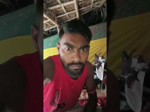 #timelapse star to finish alone build log cabin (wooden house) how to build wooden cabin surviv 07