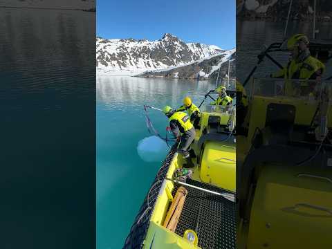 Collecting Glacier Ice By Boat! 🥶 #ice #glacier #boats