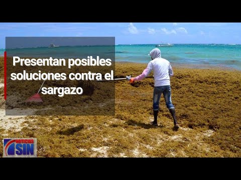 Presentan posibles soluciones contra el sargazo