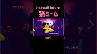 kawaii future チピチピチャパチャパ(LIVE映像) #猫ミーム #猫マニ