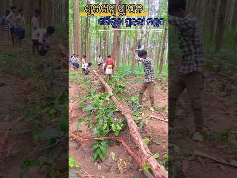 nagada sang dhol baje song hindi video #shortvideo #youtubeshorts