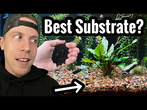 Top 5 Best Planted Tank Substrates for Live Plants The best substrates for a planted aquarium are ones with nutrients for plants to feed on.  A lot of 