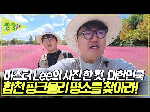 합천에서 <strong>핑크뮬리</strong> 사진 명소를 찾아라! [2TV 생생정보] KBS 261008 방송