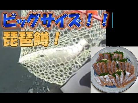 ２０２４年春　琵琶鱒１本　何とかキャッチ！