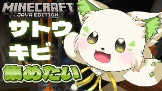 🎮【#minecraft 】サトウキビはどこだああああああ！