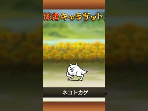 何ｨｨ〜!!…限定ｷｬﾗ…だと！？ #にゃんこ大戦争 #ゲーム #games #ガチャ #ガチャ神引き #猫 #コラボ #anime #ショート #昆虫#夏休み