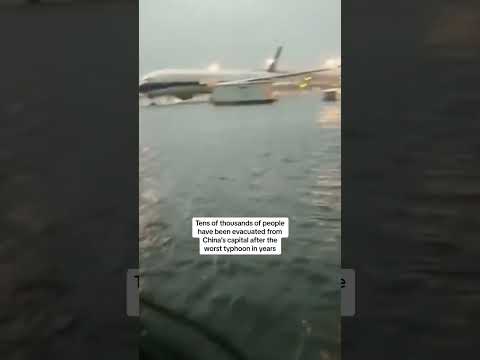 Flooding halts Beijing airport