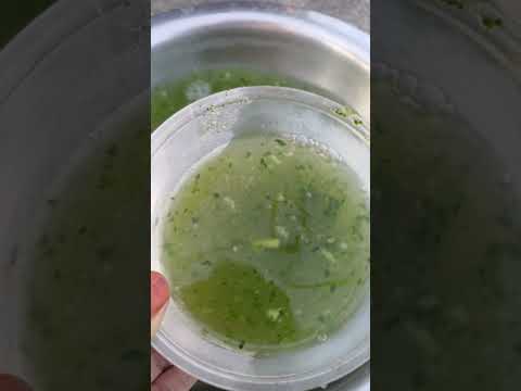 vegetable water 💧🌿 || #gardening #gardenplants #shorts #fyp #trending #yt #plants.