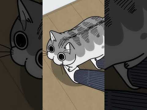 猫の動画サムネイル - 足元でアピールするネコ