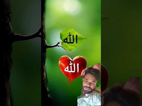 allha ❤ NAMAZ GUNHA MAAF KARA DeGI❤ #duet #love #unfrezzmyaccount #mountainvilla #melodiousvoice