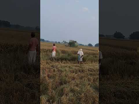 #bhojpuri #song follow me