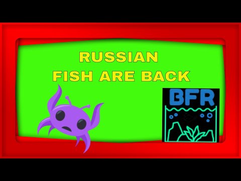 Fish from the Russian Unboxing 2020 @ BFR Fish from the Russian Unboxing 2020 @ BFR.   Please subscribe  https_//www.youtube.com/c/https://www
