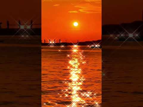 भगवान कभी भरोसा नहीं तोड़ते हैं 🪔🌼💫🙏🏼🌻🌺🌷