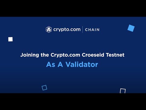how to become a crypto validator