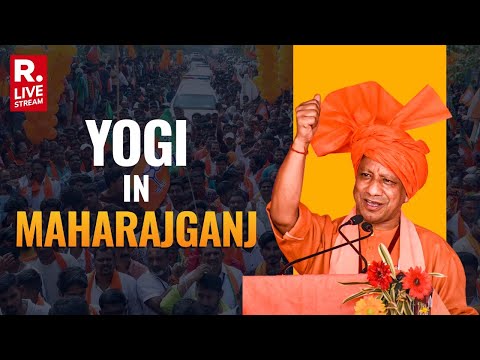 Yogi Adityanath Attends Public Meeting In Maharajganj, Uttar pradesh | Lok Sabha Election | LIVE