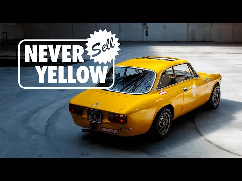 Passion for Classics: Kal's Alfa Romeo Journey on Petrolicious