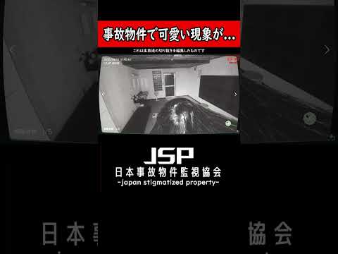 心霊事故物件で可愛い現象が... #shorts