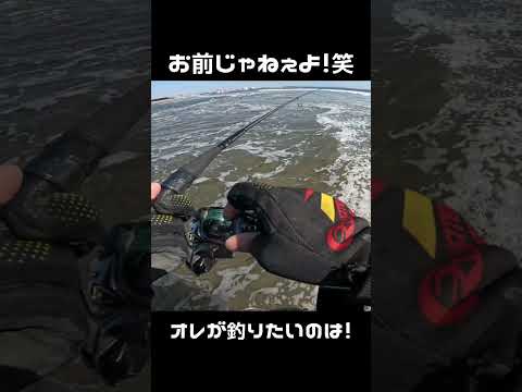 お前じゃねぇよ!笑 #ナル男の釣り道楽