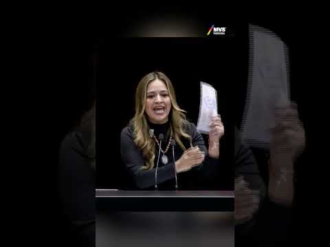 ¡Se desborda la furia! Xitlalic Ceja destroza a Morena en la Cámara l MVS Noticias
