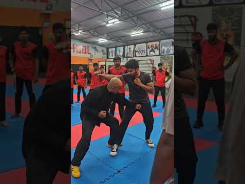 Traditional Shaolin Kungfu #martialarts #shaolin #shaolintemple #kungfu #shaolinindia #shifukanishka