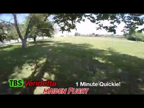 TBS Vendetta Maiden Flight - UCKMr_ra9cY2aFtH2z2bcuBA