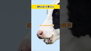 来年も出たいな　#虎のいる生活