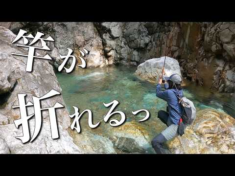 【大物特集】釣りバカたちが起こした奇跡。2024年、今年もありがとう。