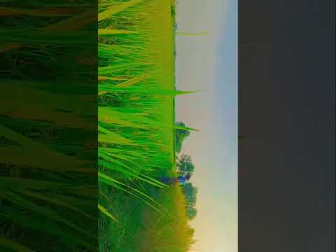 #viral #trending #music #song #nature #telugu #villagelife #agriculture #automobile #farming #ap #tg