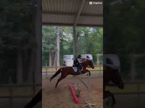 Cours de saut avec Just me 🩷 #horse