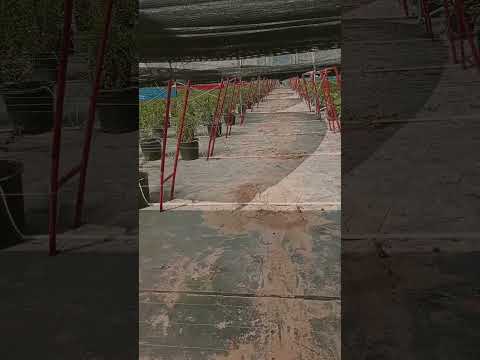 #الظروف #film #film #movie