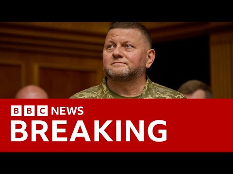 President Zelensky sacks Ukraine's commander-in-chief | BBC News