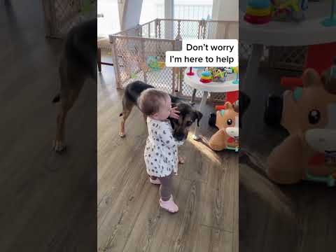 #pov #youtube  #fyp #fypシ #funny #foryoupageofficiall