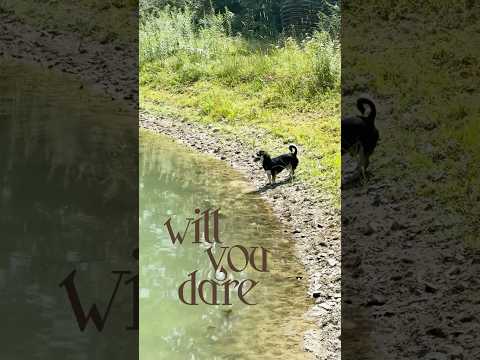 Wendy Eisenberg’s new single, “Will You Dare,…